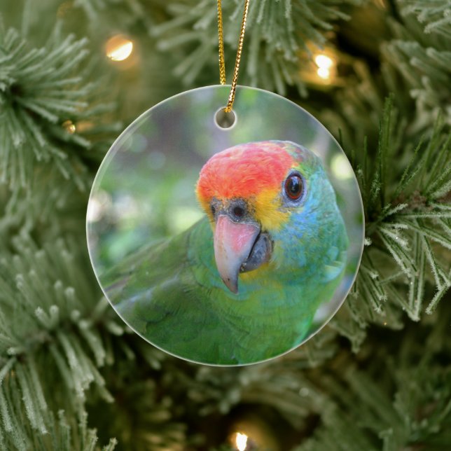 Red Browed Amazon Parrot II Ceramic Ornament (Tree)