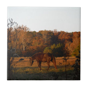 Red  Brown horse, autumn woods. Ceramic Tile