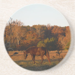 Red  Brown horse, autumn woods. Coaster