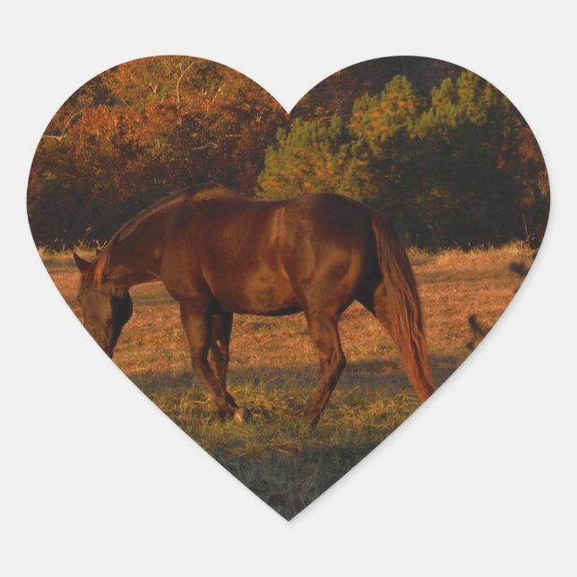Red  Brown horse, autumn woods. Heart Sticker (Front)