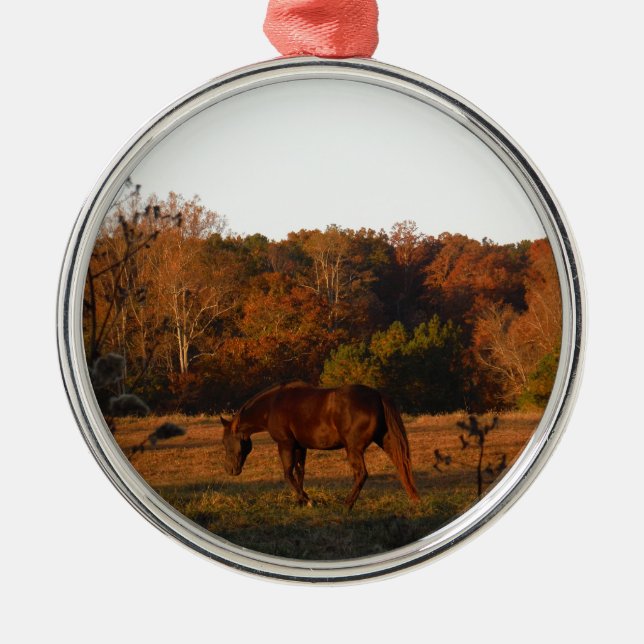 Red  Brown horse, autumn woods. Metal Ornament (Front)