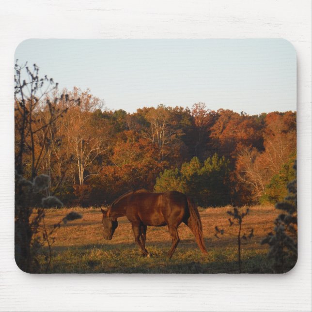 Red  Brown horse, autumn woods. Mouse Pad (Front)
