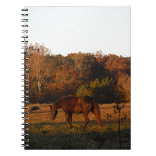 Red  Brown horse, autumn woods. Notebook