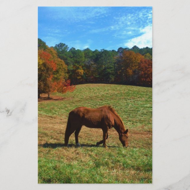 Red Brown horse, fall trees, blue skies (Front)