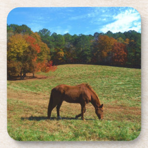 Red Brown horse, fall trees, blue skies Coaster