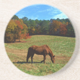 Red Brown horse, fall trees, blue skies Coaster