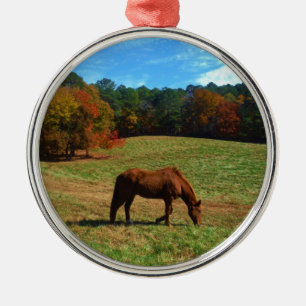 Red Brown horse, fall trees, blue skies Metal Ornament