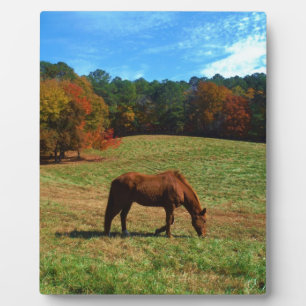 Red Brown horse, fall trees, blue skies Plaque