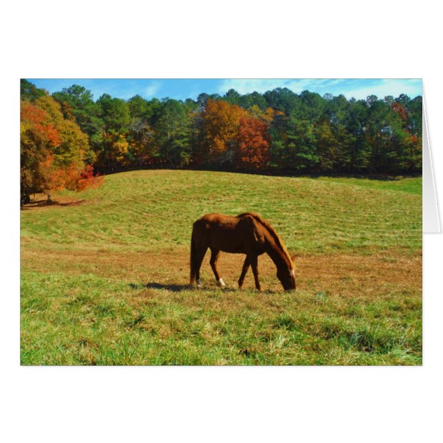 Red Brown horse in the  autumn trees (Front Horizontal)