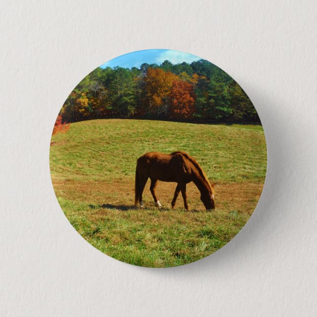 Red Brown horse in the  autumn trees 6 Cm Round Badge (Front)