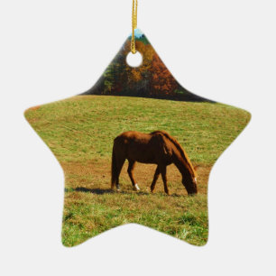 Red Brown horse in the autumn trees Ceramic Ornament