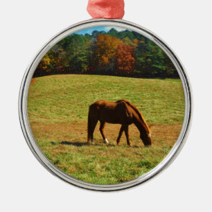 Red Brown horse in the  autumn trees Metal Ornament