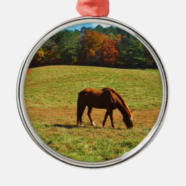 Red Brown horse in the  autumn trees Metal Ornament (Front)