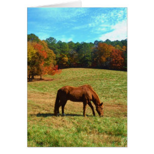 Red  Brown horse, Teal Blue sky