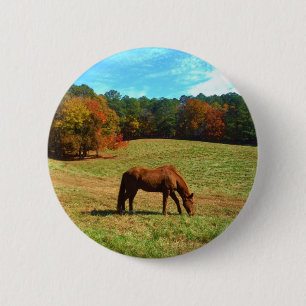 Red  Brown horse, Teal Blue sky 6 Cm Round Badge
