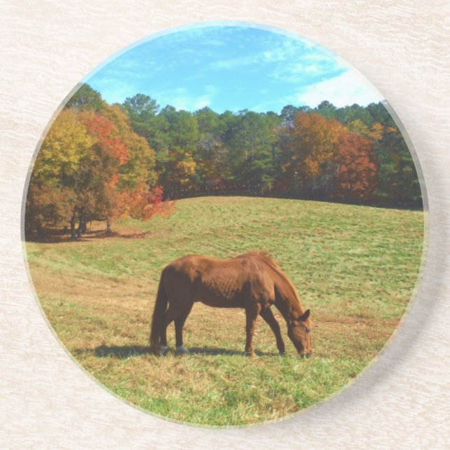 Red  Brown horse, Teal Blue sky Coaster (Front)