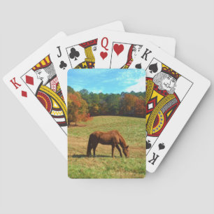 Red  Brown horse, Teal Blue sky Playing Cards