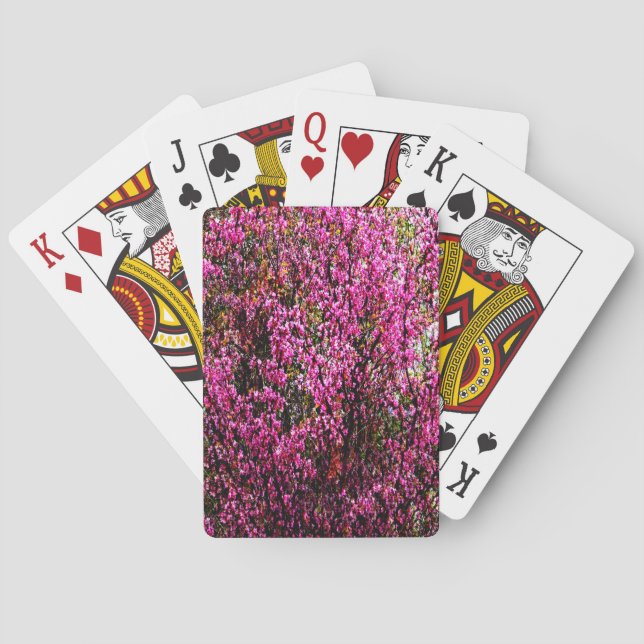 Red bud flowers...... playing cards (Back)