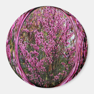 Red Bud tree.... Magnet