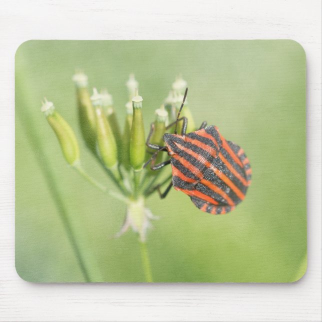 Red Bug - One More Bottle Does Not Hurt Mouse Pad (Front)