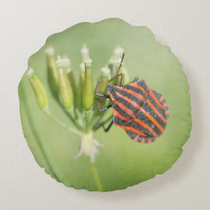 Red Bug - One More Bottle Does Not Hurt Round Cushion