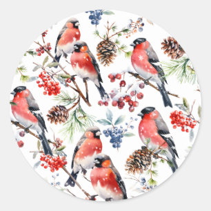 Red Bullfinch Christmas Birds Berries & Pine Cones Classic Round Sticker