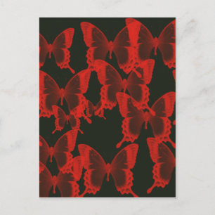 red butterfly from dark night  background postcard