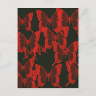 red butterfly from dark night  background postcard