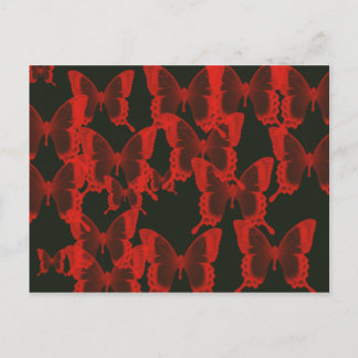 red butterfly from dark night  background postcard