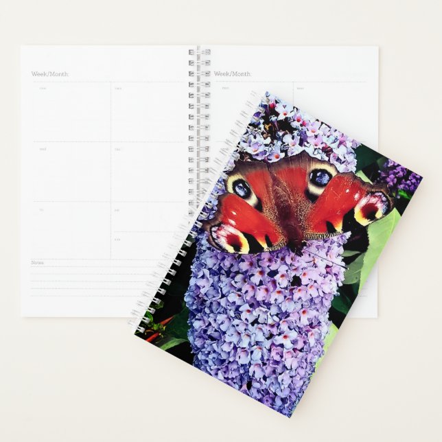 Red butterfly planner (Display)