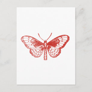 Red Butterfly Postcard