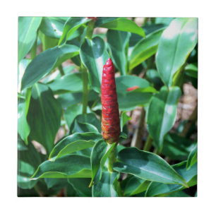 Red Button Ginger Ceramic Tile