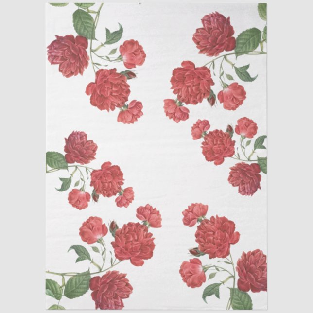 Red Cabbage Roses Tissue Paper (Front)