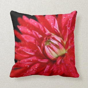 Red Cactus Dahlia Cushion