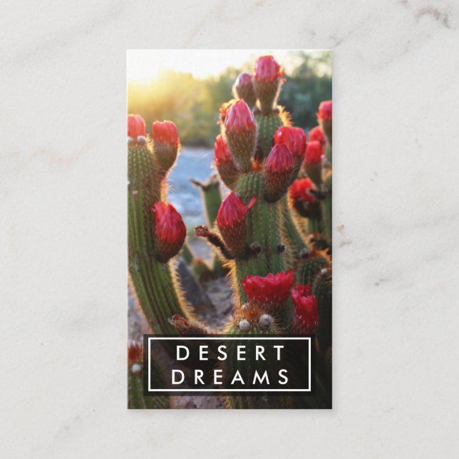 Red Cactus Flower Desert Garden Photo Travel Tours Business Card (Front)