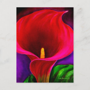 Red Cala Lily Flower Painting Art - Multi Postcard