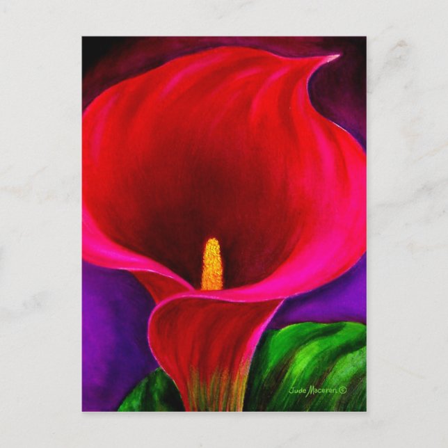 Red Cala Lily Flower Painting Art - Multi Postcard (Front)
