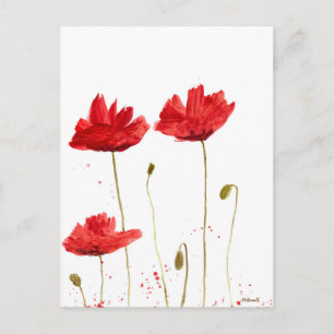 Red California poppies flowers pretty Postcard