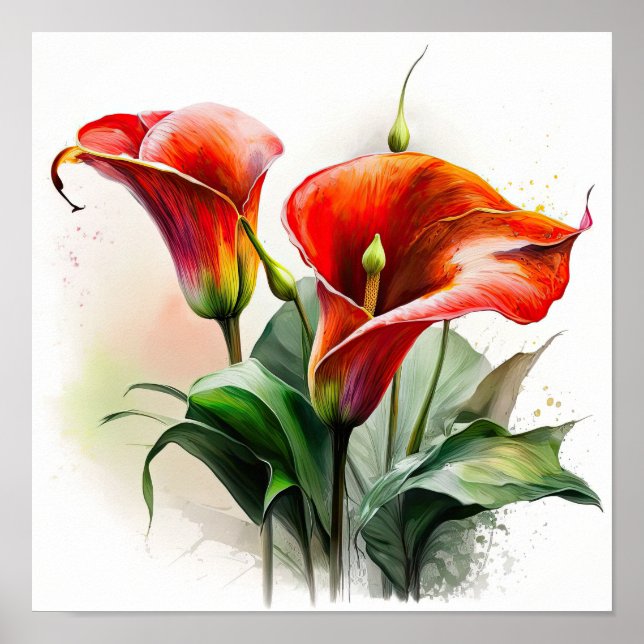 Red Calla Lilies Lily Flower Art Print Poster (Front)