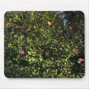 Red Camellia Bush Mouse Pad