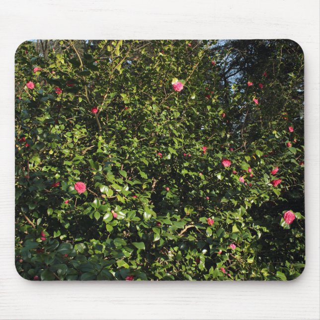 Red Camellia Bush Mouse Pad (Front)