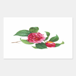 Red Camellia by Pierre Joseph Redoute Rectangular Sticker