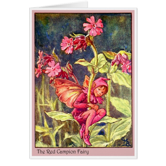 Red Campion Fairy (Front)