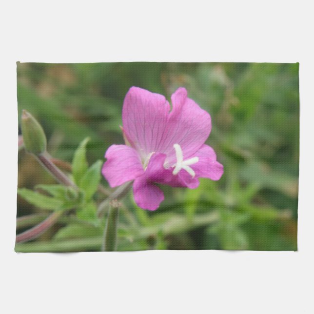 Red Campion Wildflower Kitchen Towel (Horizontal)