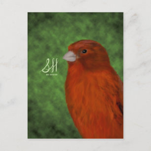 Red Canary Postcard