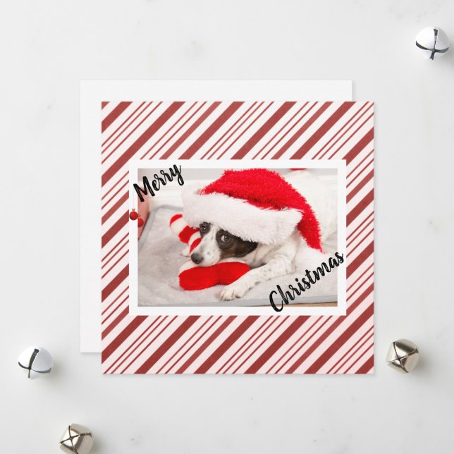 Red Candy Cane Stripe Photo Greeting  Holiday Card (Front/Back In Situ)