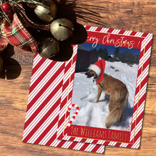 Red Candy Cane Stripes Dog Photo Foil Holiday Card