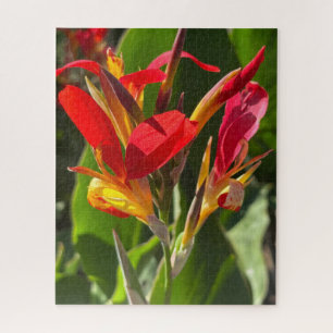 Red Canna Lily, Oakland Jigsaw Puzzle