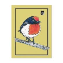 Red-Capped Robin Bird