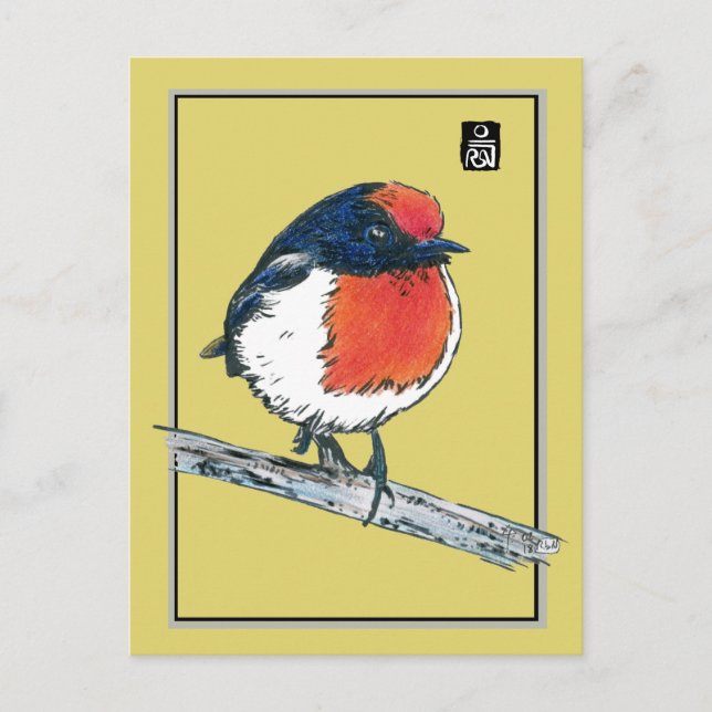 Red-Capped Robin Bird Postcard (Front)